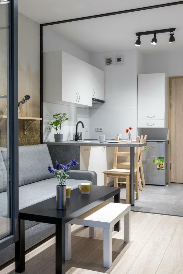 Ws Concept House Apartments Krasków Exterior foto